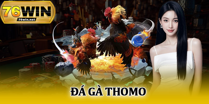 Đá Gà Thomo